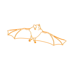 Animals Bats Honduran White Bat Contour Svg Vector, Free Vectors File